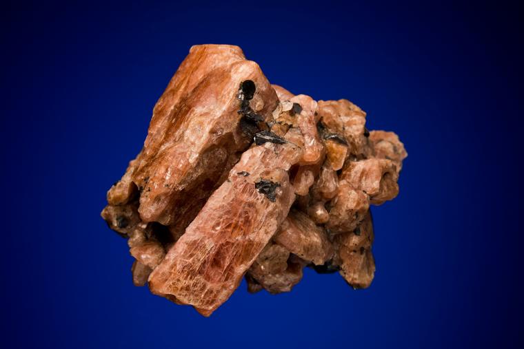 BUSTAMITE